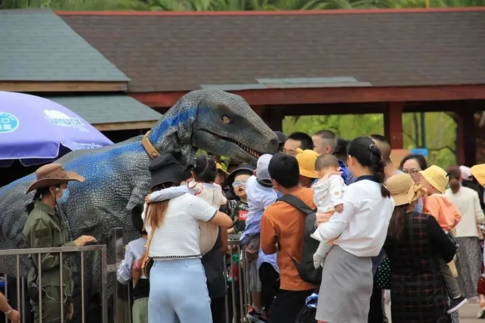 ����ʡ»����������������Ļ����缶IP