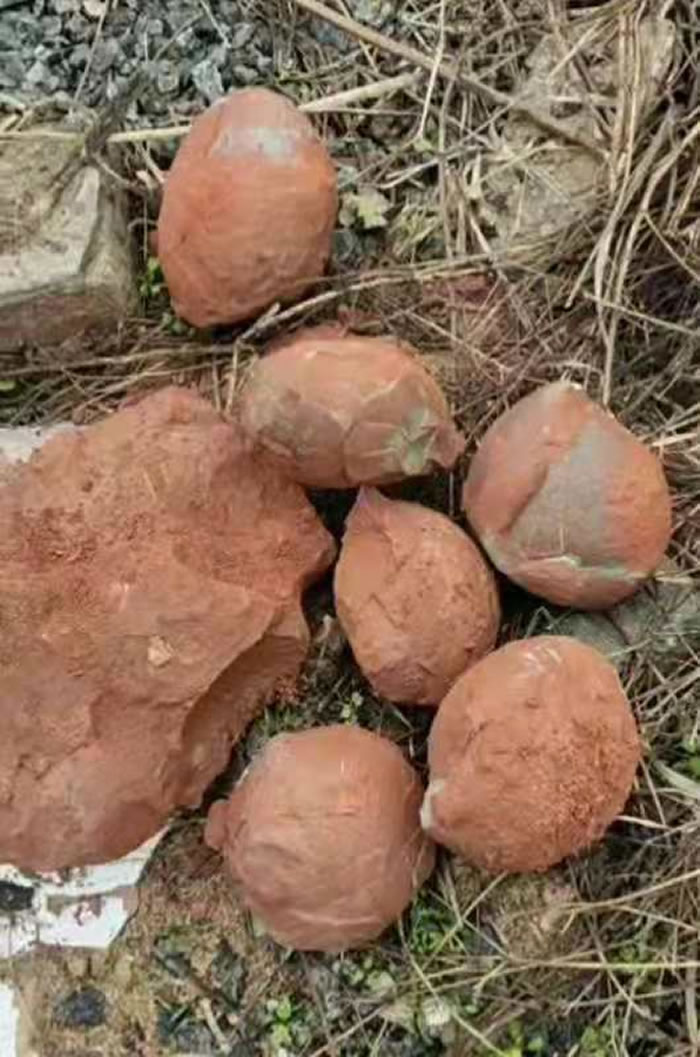 ʱ��20��㶫ï���ٴη��ֿ�������ʯ