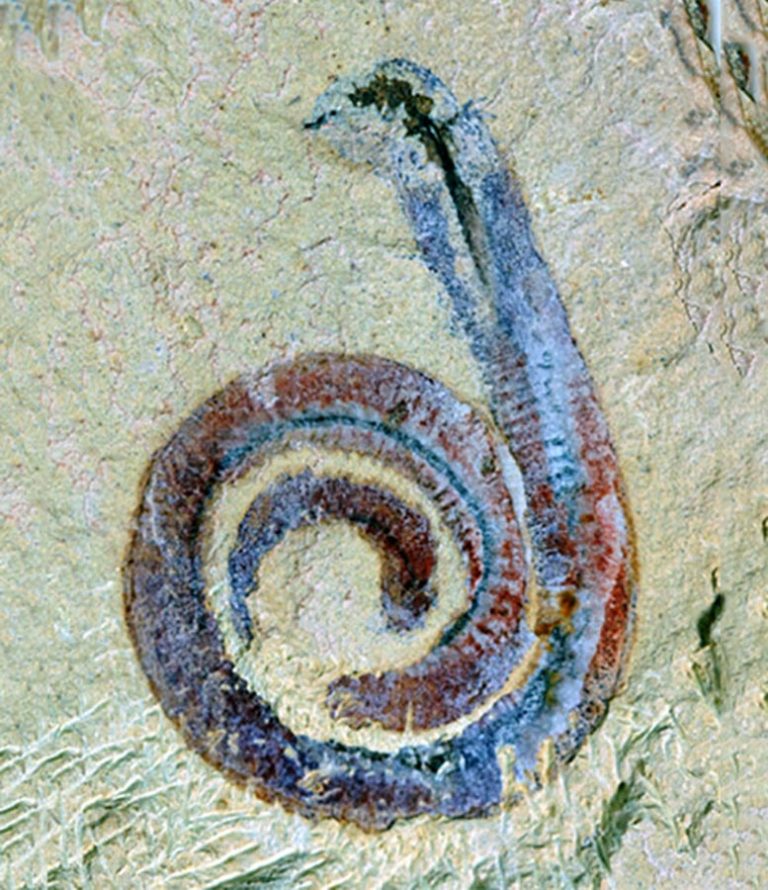 �й��·��ֵĹ������ж����ṩ��5.18����ǰ�����ĺ�����Ϣ