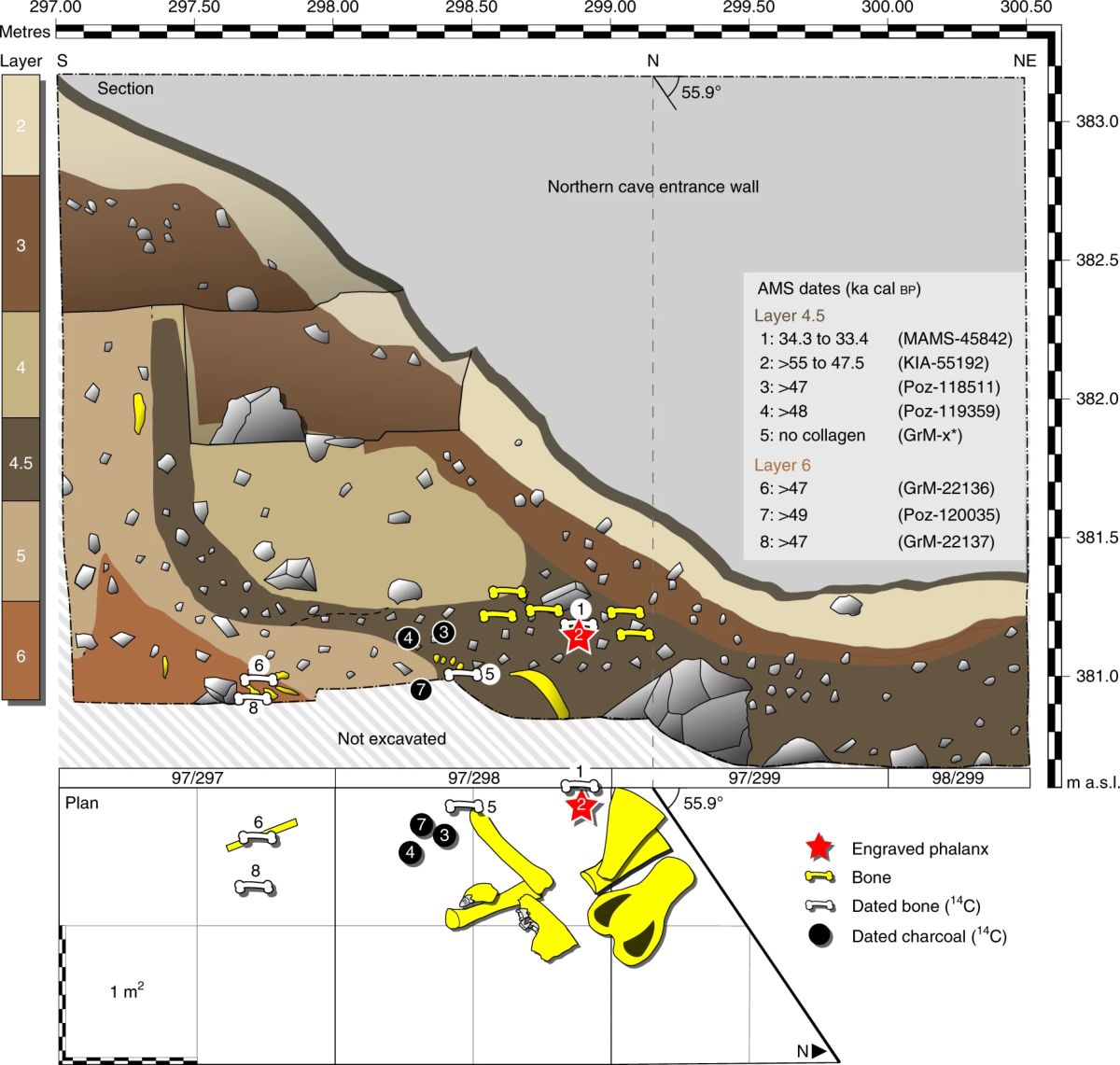 �¹���������ɽ������5.1����ǰ�ᰲ�����˵Ĺǵ���Ʒ