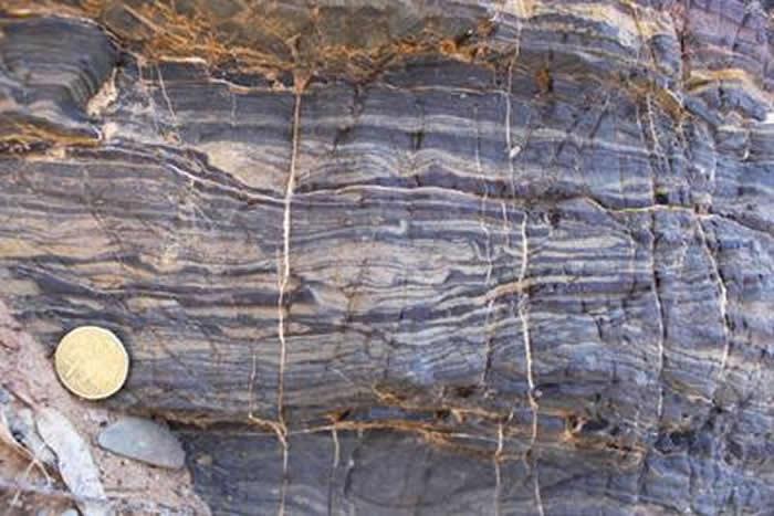 ͼ���ǡ�����״���㡱���������ʳʺ�ɫ���֣��������ʳʰ�ɫ