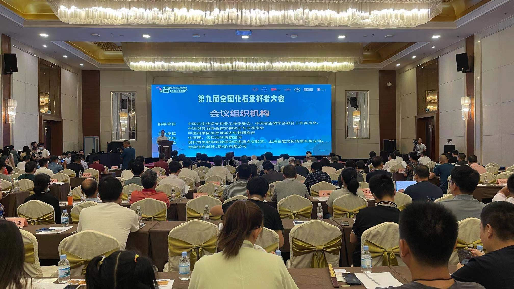 �����ձ����ھŽ�ȫ����ʯ�����ߴ���ڹ��������о���