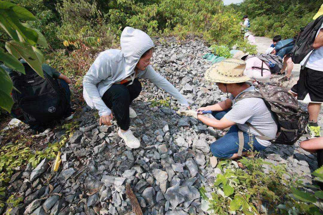 �����ձ����ھŽ�ȫ����ʯ�����ߴ���ڹ��������о���