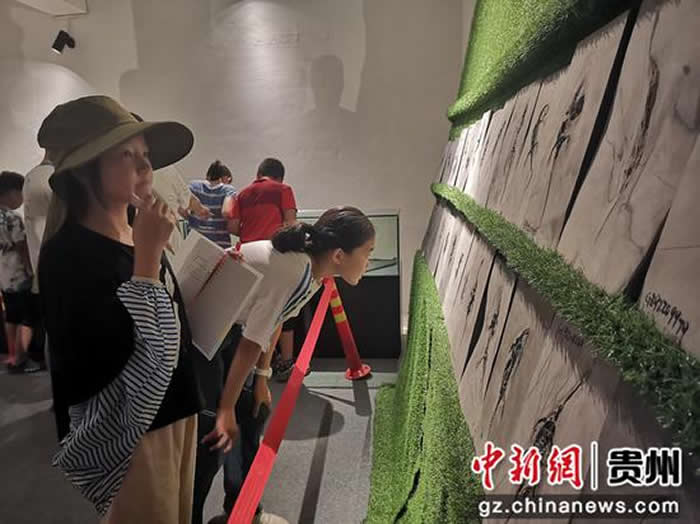 贵州省兴义市民间古生物化石馆促进化石的保护与科普研学