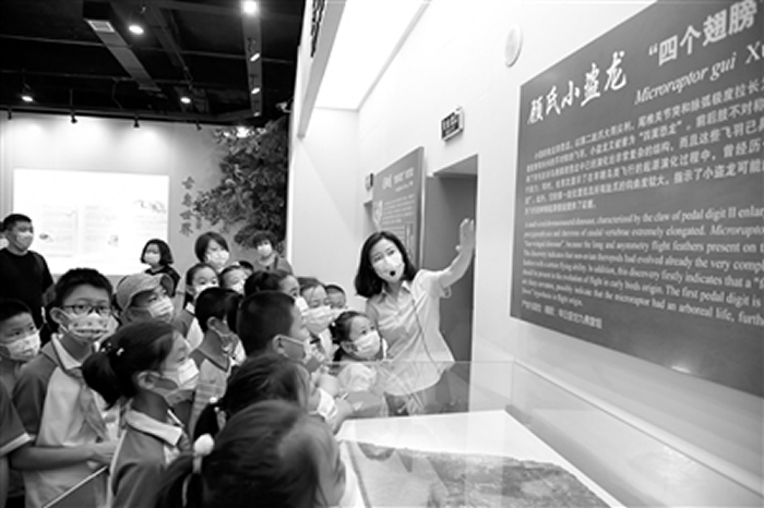 �߽�����ʦ����ѧУ԰������������ﲩ���