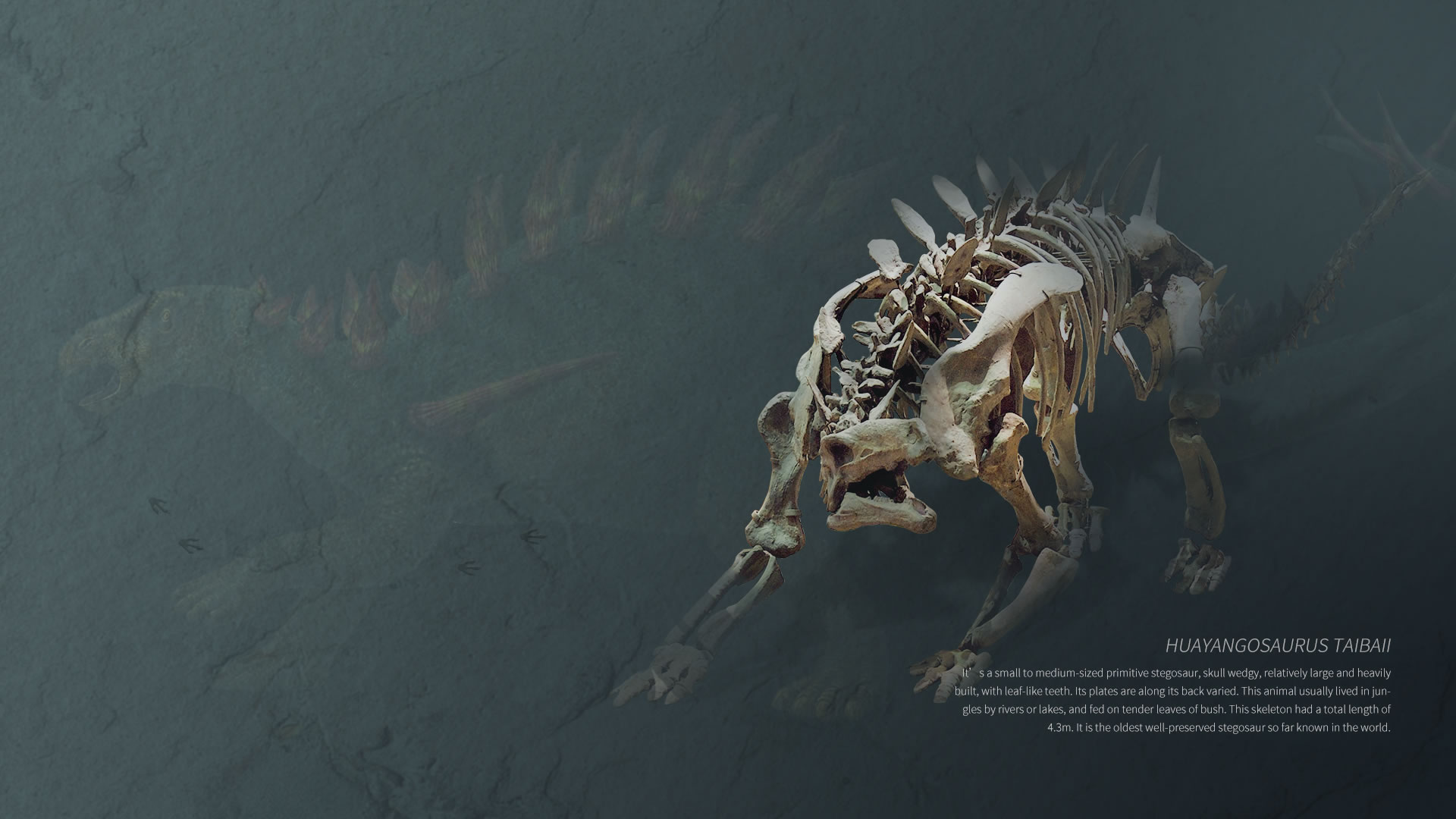 �Թ�����������걨�ġ���������CT���������ǰ�Ĺ��ܡ������׼����