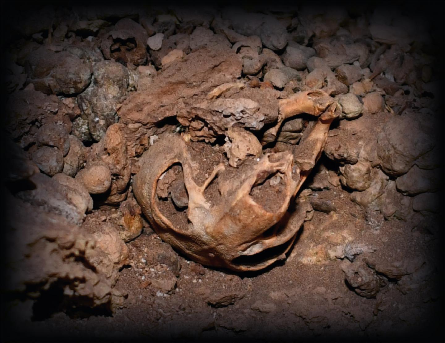 �跲�ع���������������ɢ����ʯ��ʾ����̬�����������������˷��޺��跲�ص���