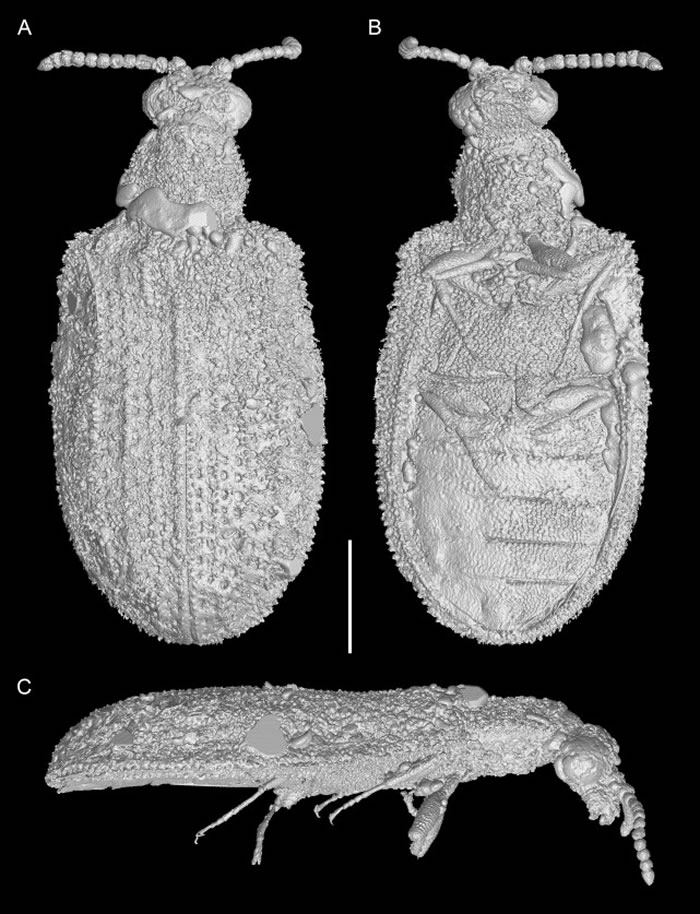 ������ѧ�۴ԡ�������������з���1����ǰ�׳桰ľ������������