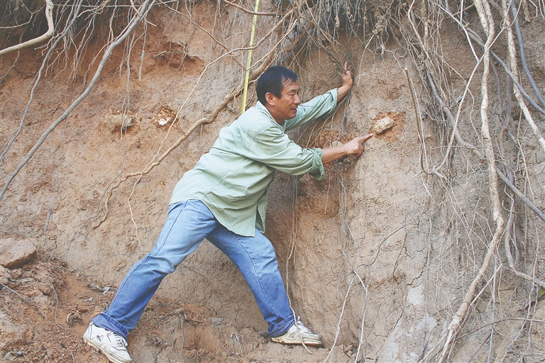 ����ڲ���ʯͷ�¿���