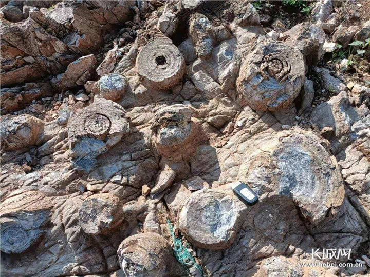 �������Ӳ��¶�������ʯ��ʯ�ͼ���