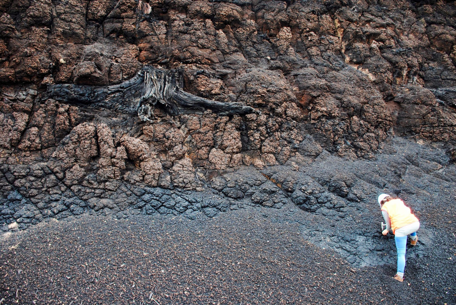 3400����ǰ�����ж�����̼Ũ�ȵ��½��ڵ�����������з�����Ҫ����