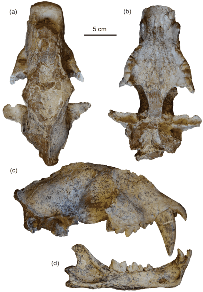 ���Ͻ��ݻ�ͷ�ǡ����Ͻ��ݻ������������������й��������佣�ݻ������������п�Ժ�ż�׵����ͼ��