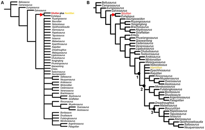 ����Filippi���˾����ϵͳ����ͼ����A�� �й�˿·�������½����ܾ�����Ϊ��һ���൥Ԫ����B���й�˿·�������½����ܾ�����Ϊ���������ķ��൥Ԫ��1. Tit