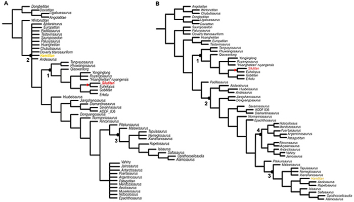 ����Mannion���˾����ϵͳ����ͼ���й�˿·�������½����ܾ�����Ϊ���������ķ��൥Ԫ����A����Ȩ�غͣ�B����չ����Ȩ�أ�kֵΪ9��1. Euhelopodi