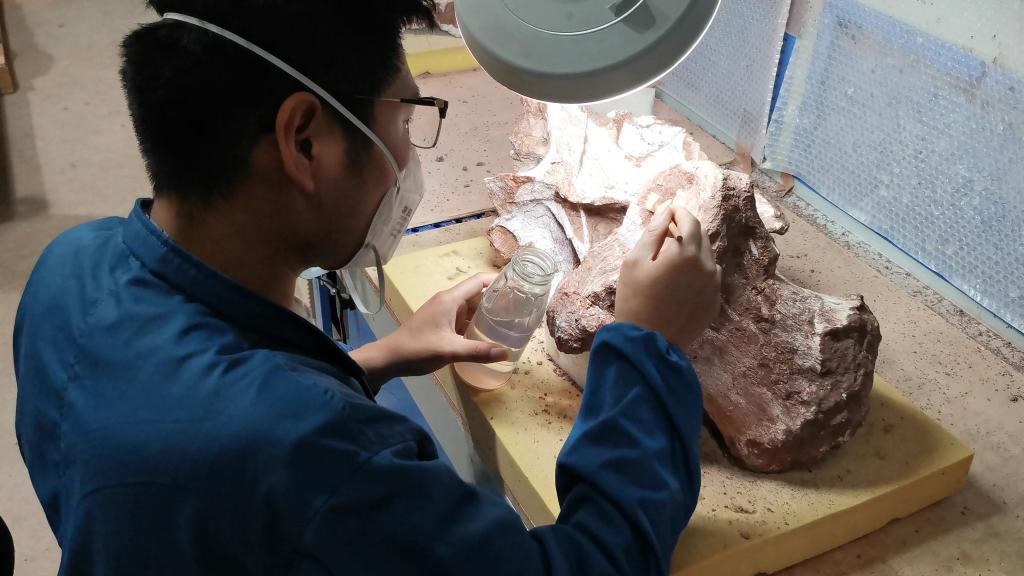 刘安浩在给化石涂保护试剂。新华社记者 冯源 摄