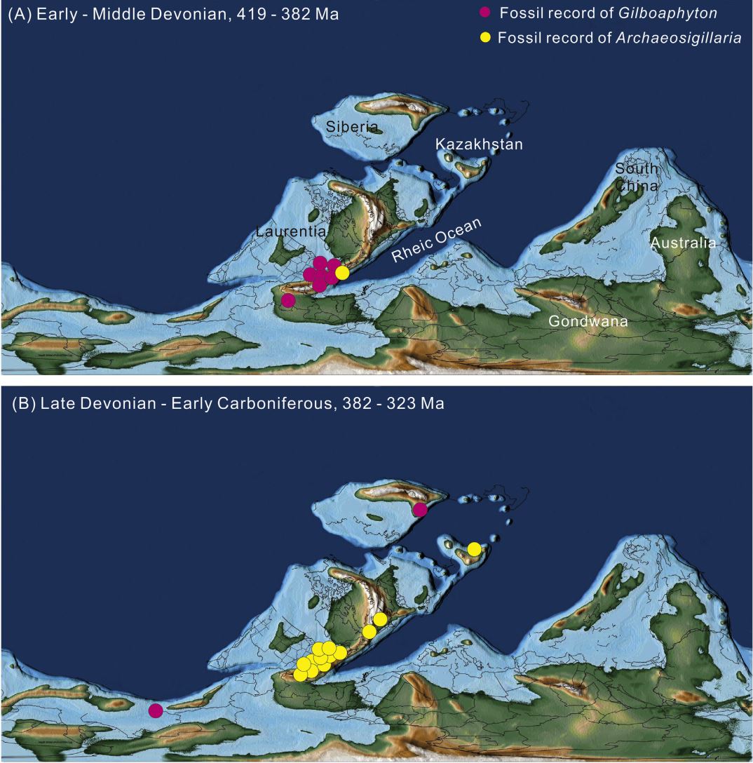 基于全球化石产出记录数据分析而获得的泥盆纪—早石炭世Gilboaphyton 和Archaeosigillaria时空分布模式图