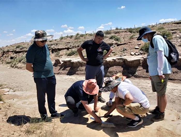 ���ɹ���Ȼ����ݸ�������˹�ж��п��쿪չ�����㼣��ʯ�����Ա�������