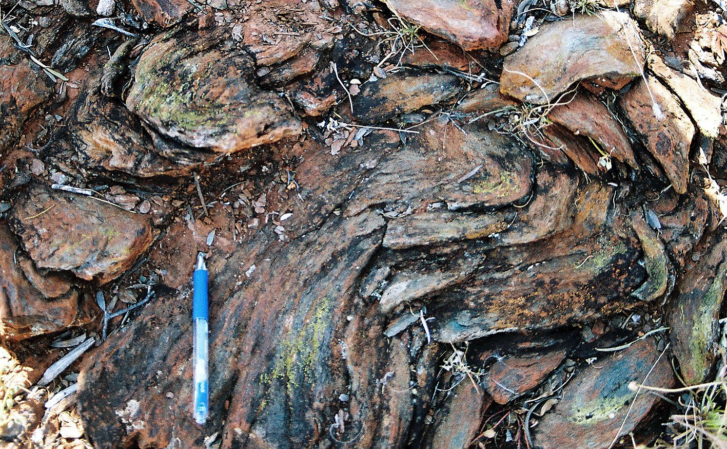 ��������½���Ϳ���ͨ