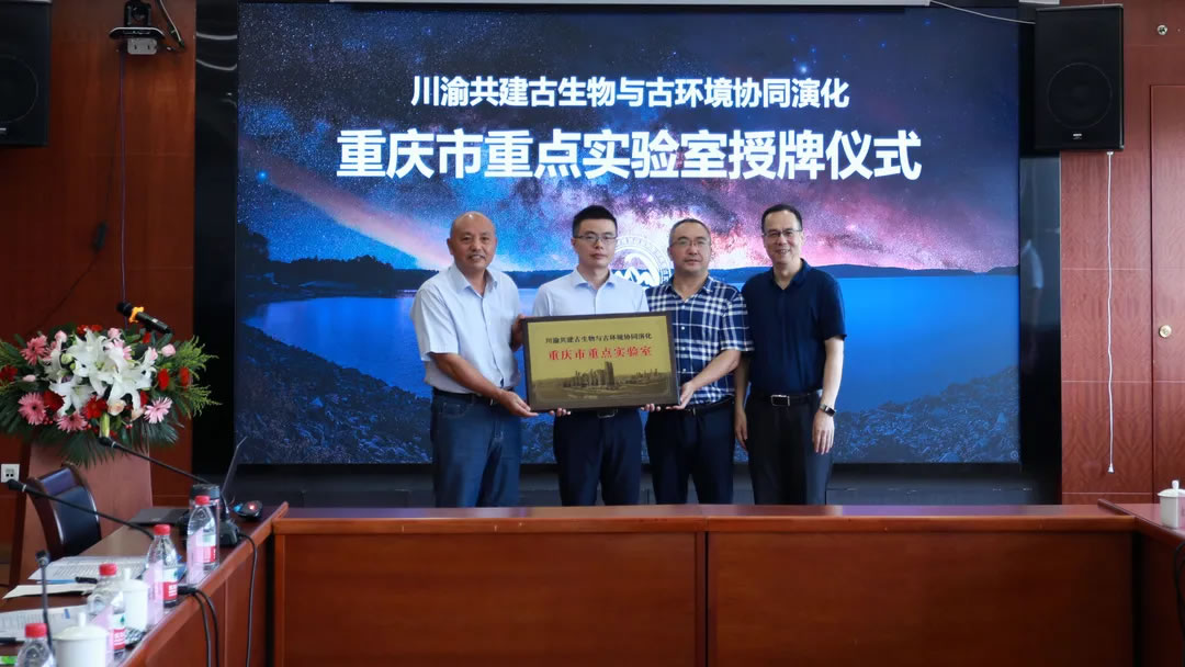 �����干����������Ż���Эͬ�ݻ��������ص�ʵ���ҡ�������ʽ���������