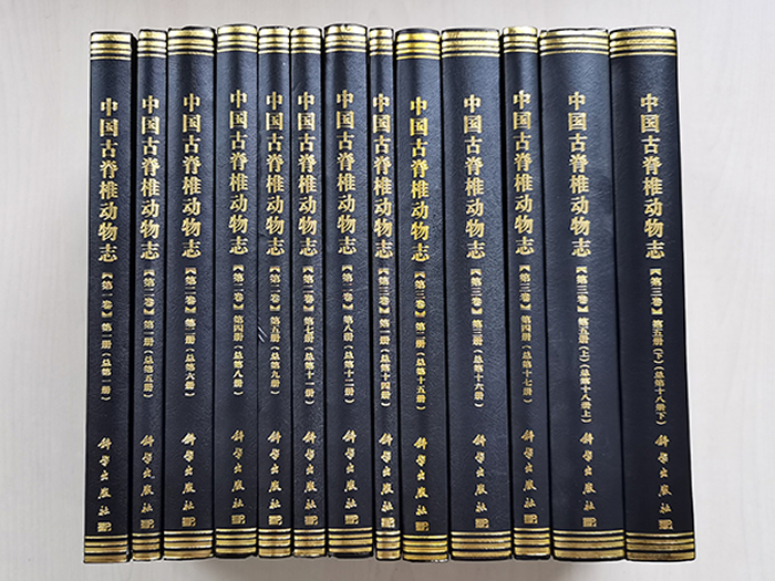 ���й��ż�׵����־��