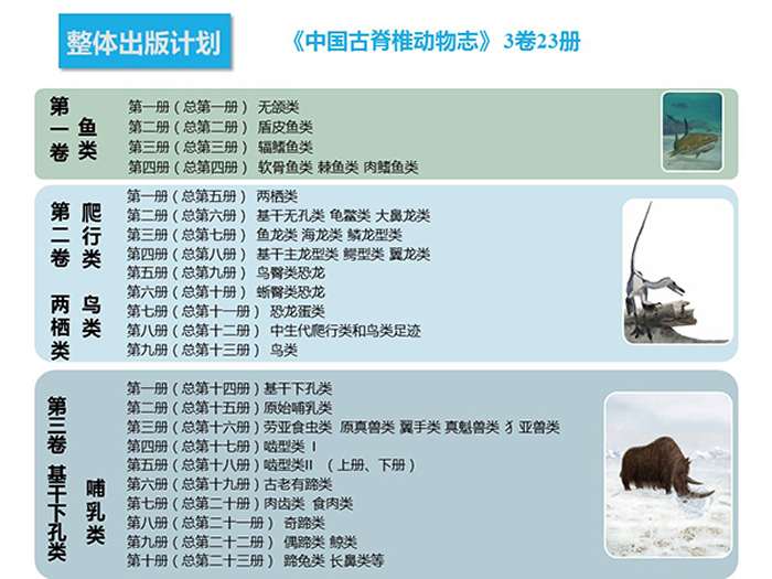 ���й��ż�׵����־��