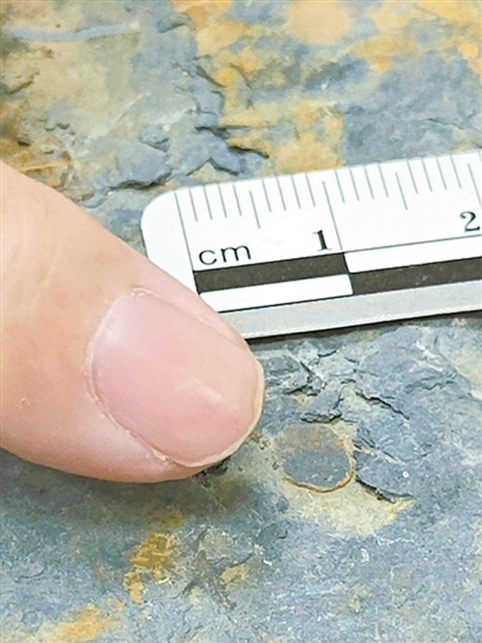 �㶫��Դ���̺��Ϸ��ֺ�����ۻ�ʯ ���ҹ��Ϸ������״η���