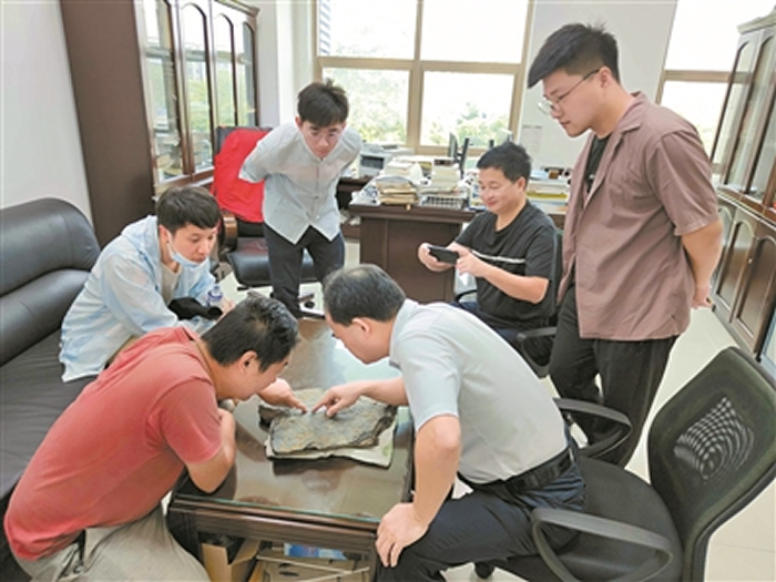 �㶫��Դ���̺��Ϸ��ֺ�����ۻ�ʯ ���ҹ��Ϸ������״η���