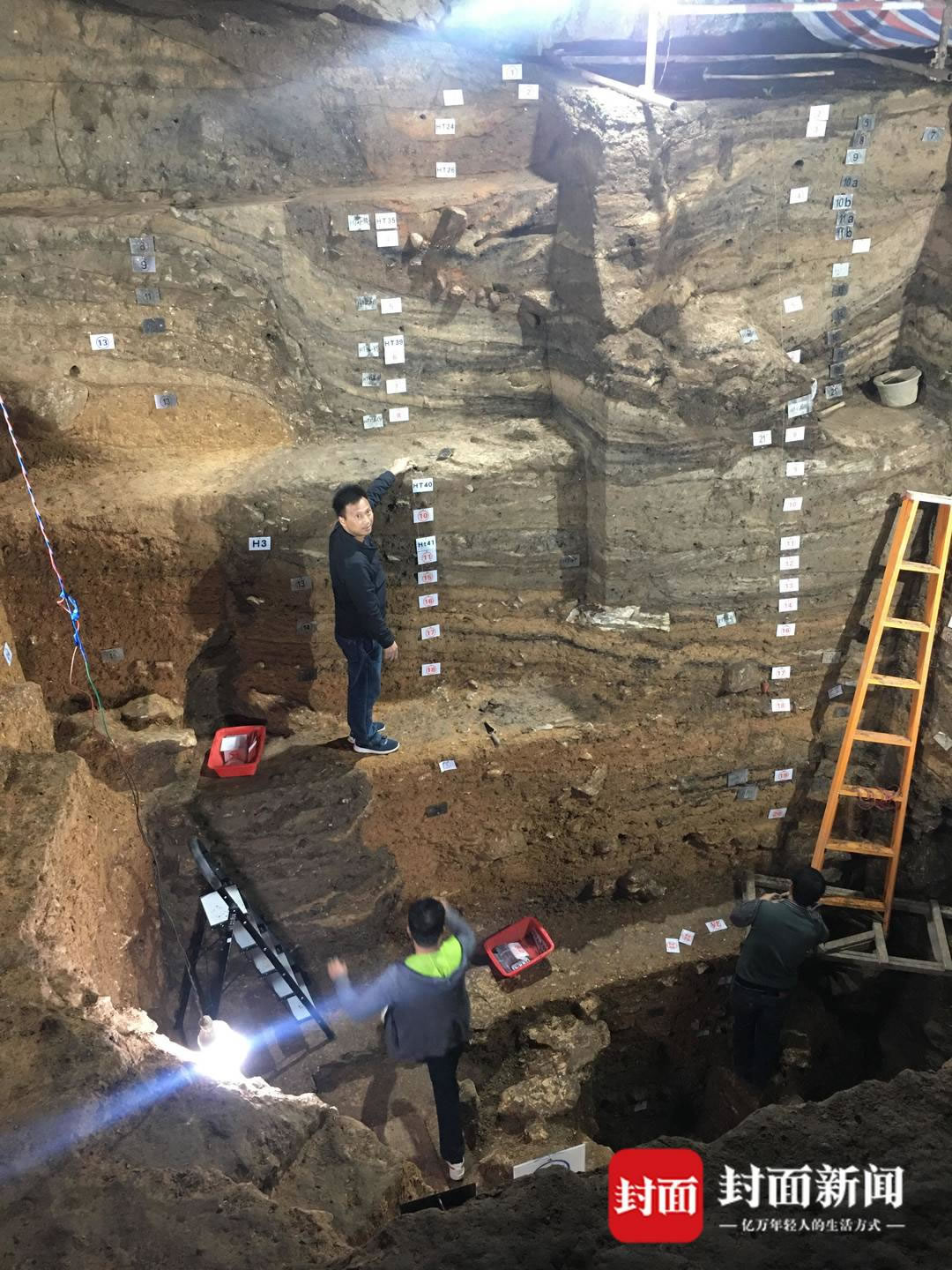 植物考古人:在炭化种子的世界里探寻古代文明