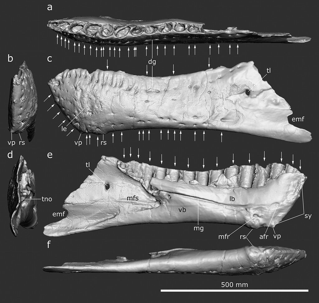 �����о�����������������°;������е���ĩ��