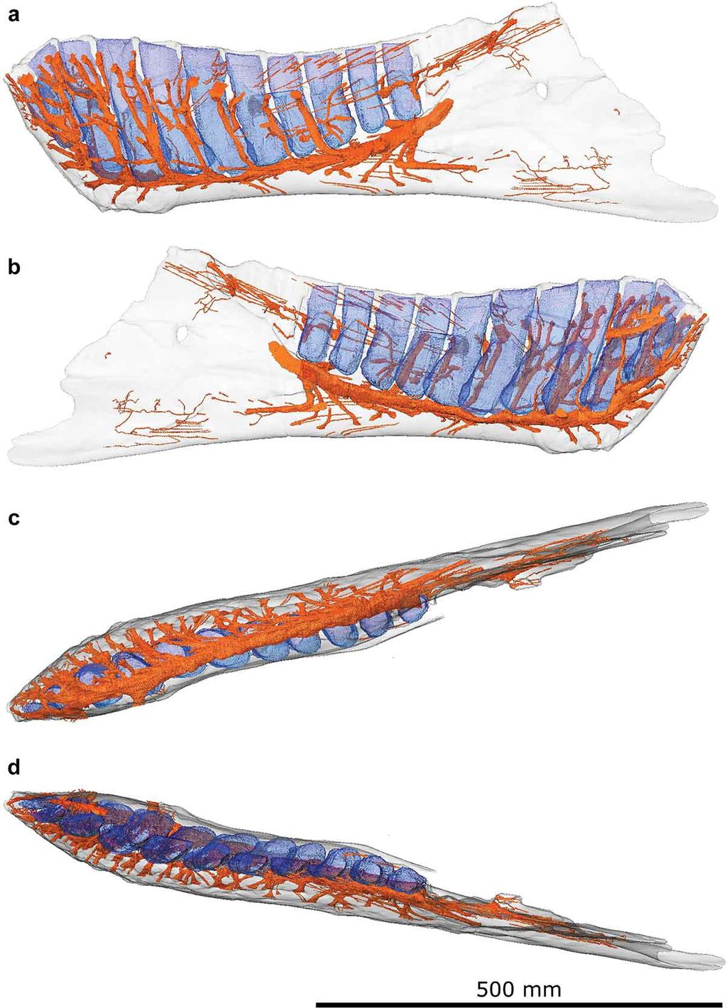 �����о�����������������°;������е���ĩ��