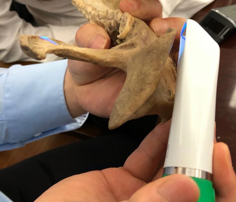 ����è����ʳƫ�ö������ݺ��ǵĽ����������ش�Ӱ��