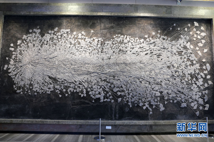 �޷����ٺϻ�ʯ�걾ǽ