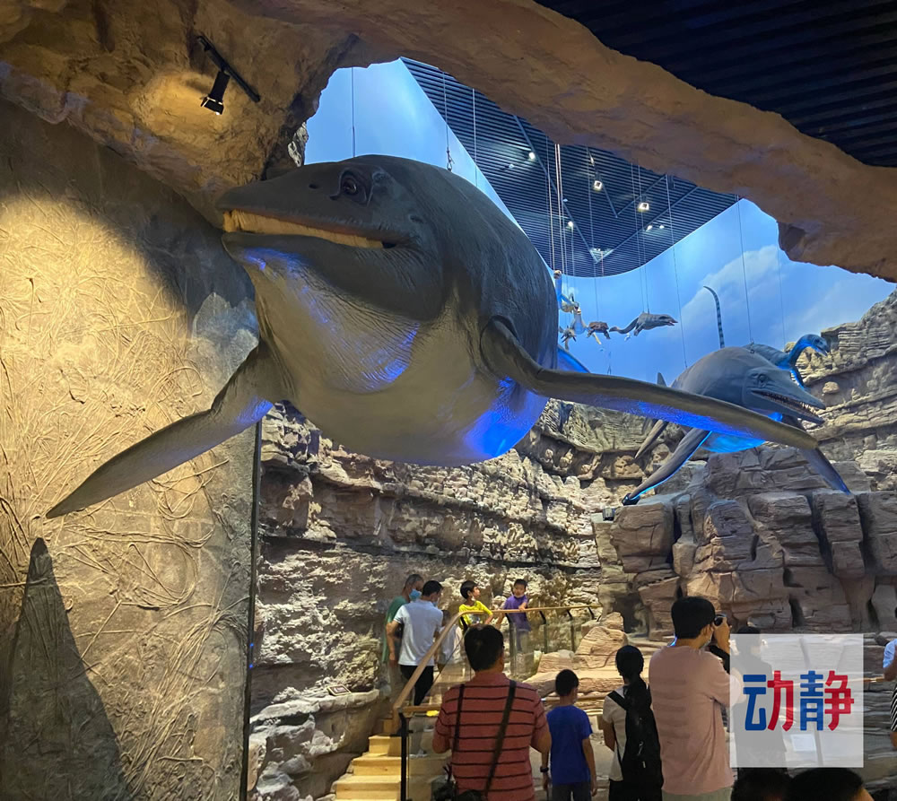 天天满额约不上?贵州省地质博物馆增加预约名额,快来约吧!