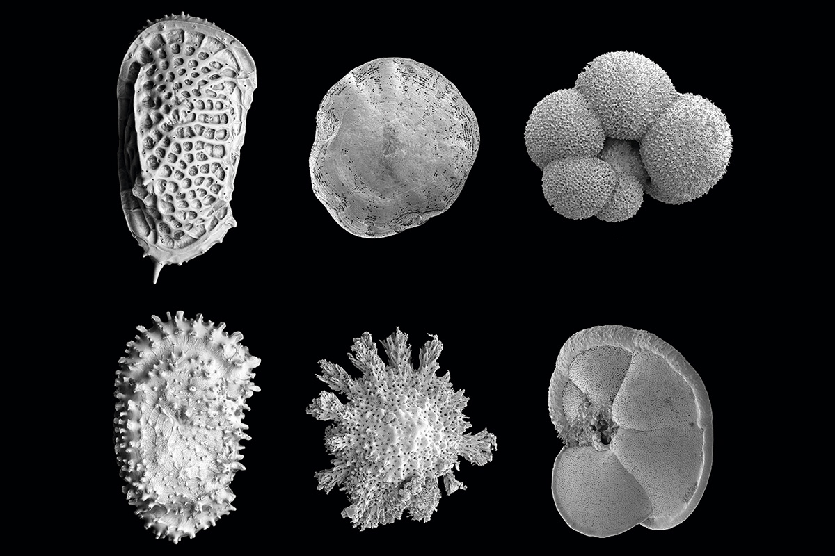 ���о���¶������������ů�ĺ��������˸���������ƹ��ܵ�����