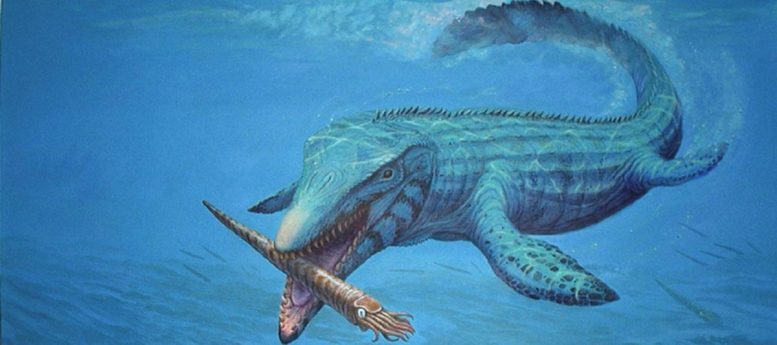 美国堪萨斯州西部发现沧龙新物种：生活在8000万年前的食鱼怪物