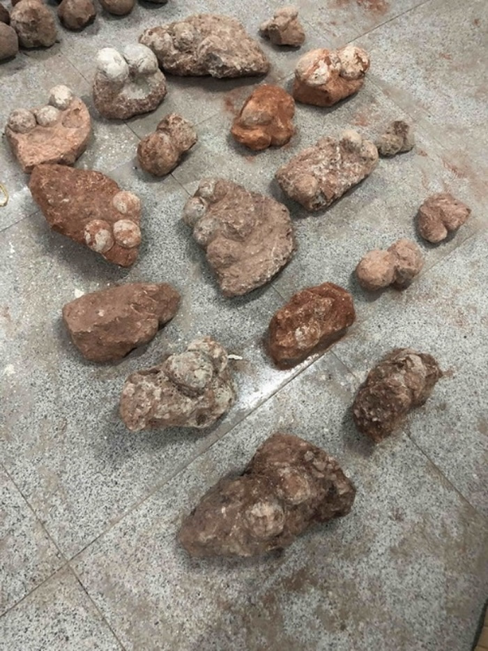 �㶫ʡ��Դ�о�����ץ���ƶ�������ʱ������һ����������ʯ