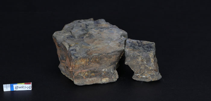 ����������������ݾ�����ɽ�����ֵĹ����ﻯʯ