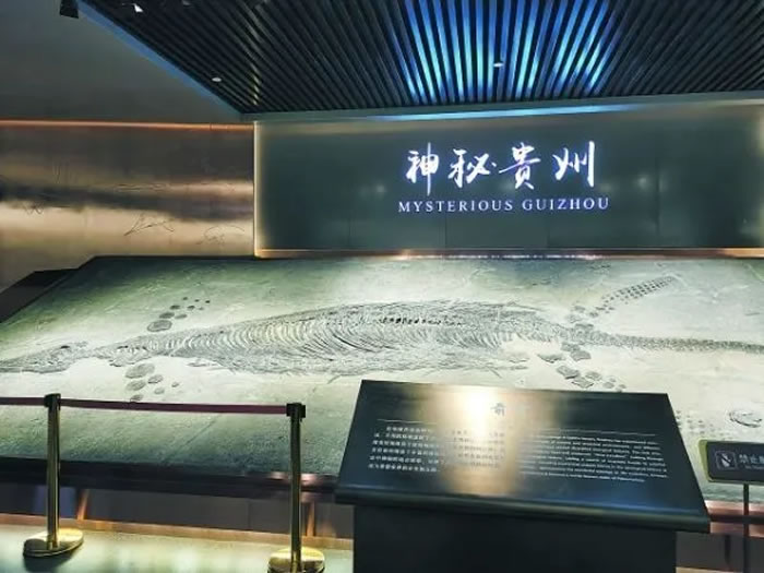 贵州省地质博物馆:承载地质文明 讲述远古贵州