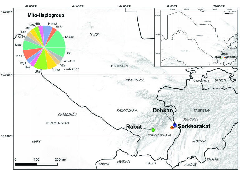 �о������ĵ����ֲ�ͼ