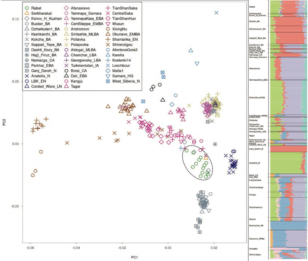ͼ2.PCA���󣩺�ADMIXTURE���ң�����