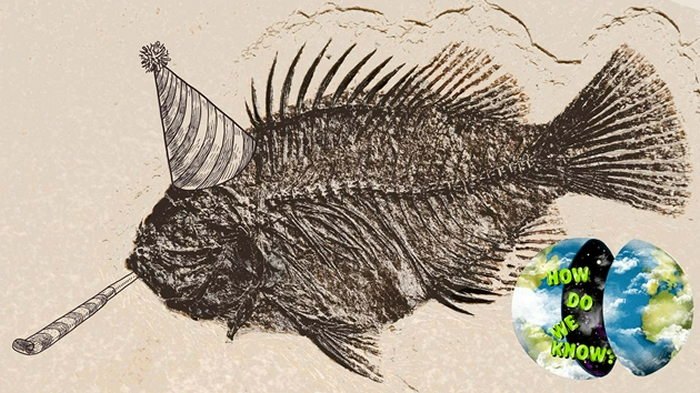 �������һЩ��ʯ����Ĳⶨ����