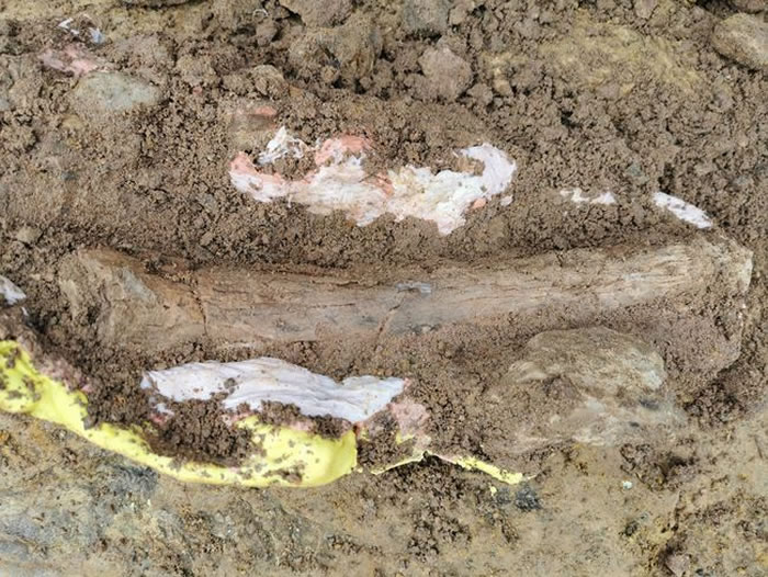 �������ݴ����ˢ��̲���ִ�����ǻ�ʯ