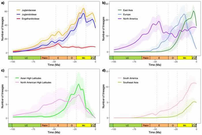 ���������ҿƽ�Ϸ��Ӻͻ�ʯ֤�ݵĶ������ۻ�����