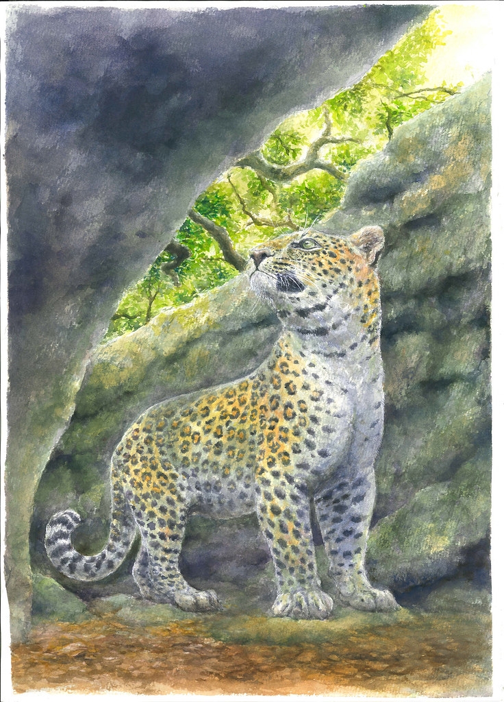 ������̬��ԭͼ������˻��ơ�ͼƬ��Դ���Ʋ���