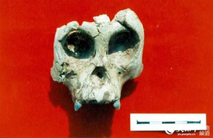 Ԫı��Գ��ʯ�ص�����Ĺ�Գ��Ԫı��ί��������ͼ