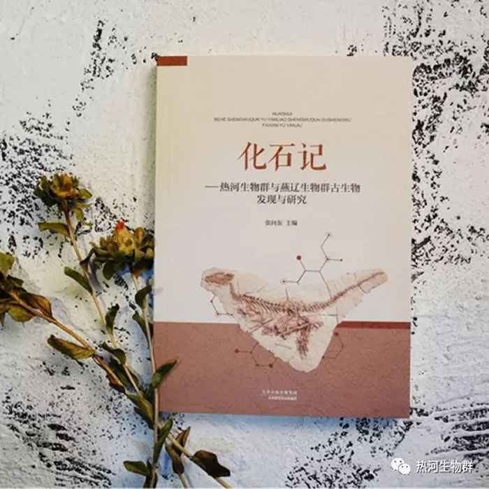 ����ʯ�ǡ����Ⱥ�����Ⱥ����������Ⱥ�о��뷢�֡�ͼ�鷢���