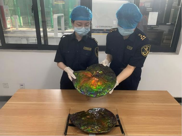 ���ݺ����״��ڿ�������������ﻯʯ��Ʒ