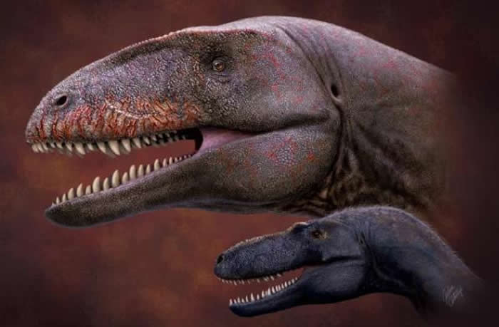 ���ȱ��˹̹�����տ�ķɳĮ�������ͳ̶ȿ��Ȱ��������������ʯ