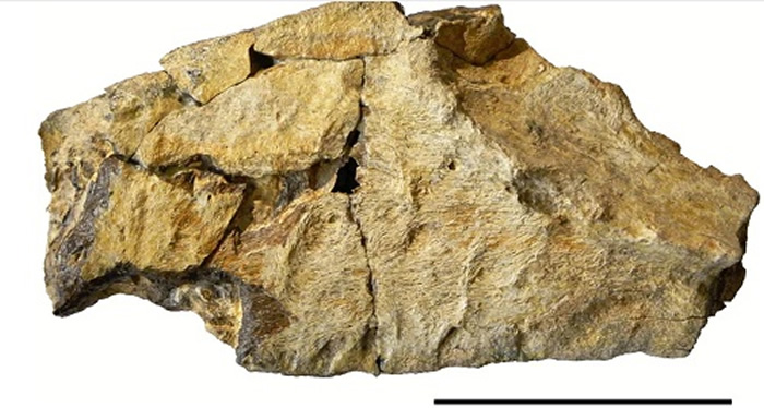 ���ȱ��˹̹�����տ�ķɳĮ�������ͳ̶ȿ��Ȱ��������������ʯ