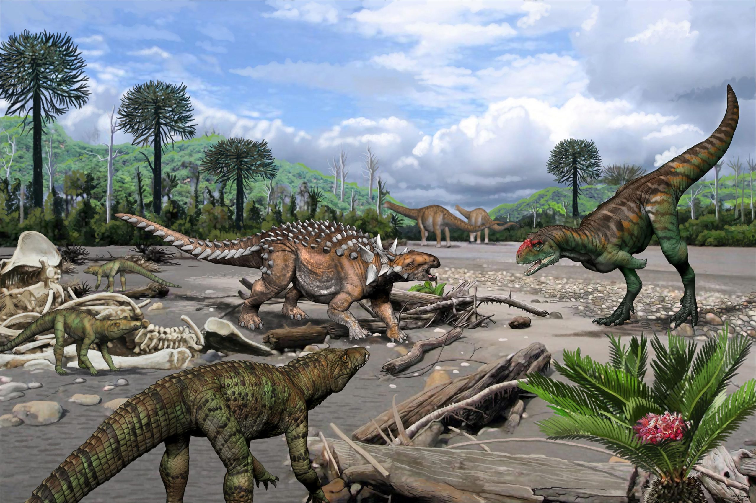 化石研究显示阿根廷的白垩纪爬行动物多样性令人惊讶